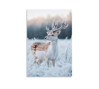 GFGPSALZU A Deer Standing in Silence on A Frosted Pine Backdrop Fashionable Wall Decor - Hanging Art Poster And Mural08x12inch(20x30cm)