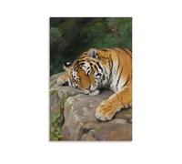 GFGPSALZU A Tiger Lies on A Rock, Dozing with Eyes Half-closed Fashionable Wall Decor - Hanging Art Poster And Mural12x18inch(30x45cm)