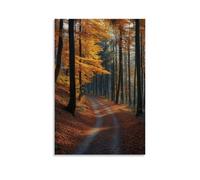 GFGPSALZU Landscape - Enchanted Forest of Bavaria in Autumn Fashionable Wall Decor - Hanging Art Poster And Mural12x18inch(30x45cm)