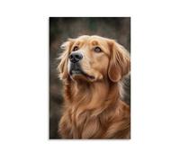 GFGPSALZU Pet Poster Majestic, Regal Golden Retriever Fashionable Wall Decor - Hanging Art Poster And Mural16x24inch(40x60cm)