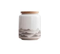 GFHTRELY Tea Can Tea Jar With Wooden Lid, Ceramic Sealed Jar, Small Size, Red, Green And White Tea Packaging, Gift Longjing Portable Jar Tea Caddy(B)