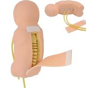 GFLCWYP 1:1 Life Size Newborn Baby Lumbar Puncture Model, Lumbale Punctie Training Simulator for Doctors Nurses Students Practice Teaching Model
