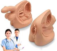 GFLCWYP 2Pcs Catheterization Model Male Female,Catheter Model Internal External Genital Anatomy Model Nursing Practice for Medical Clinical Teaching and Practical Training