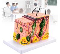 GFLCWYP 3D Skin Anatomical Model, 35X Enlarged Skin Layer Structure Anatomy Model with Hair and Skin Marking for Biology Classroom Study Display Teaching Science Aids