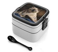 GFLFMXZW Cat on Blanket Bento Box Adult Lunch Box All-in-One Lunch Containers with Removable Compartments Double Layer Bento Lunch Box with Spoon And Handle Stackable Lunchbox