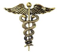 GFM® Caduceus - Two Intertwined Serpents Crowned by Angel Wings Brooch (Antique Gold)(BRCH-Caduceus-ANTQSN)