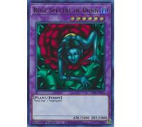 GFP2-EN121 Rose Spectre of Dunn
