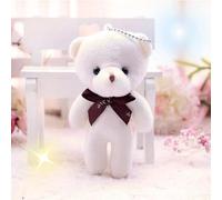 GFZLJ Personalised Soft Toy Teddy Bear,small plush teddy bear,personalised soft toy,DIY Keychain Birthday Wedding Party Favors(White)