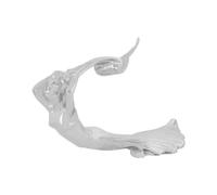 GG Grand General 48270 Chrome Flying Lady Hood Ornament