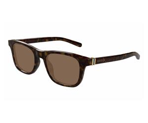 GG1671S 006 Man Sunglasses Acetate Havana Brown Round