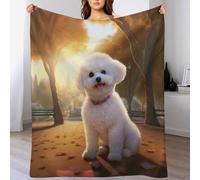 GGJJTT Bichon Frise Blanket Soft Flannel Soft Blanket Gifts 3D Home Decoration For Bed Couch Sofa Chair Bed Blanket 130×150cm