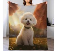 GGJJTT Bichon Frises Blanket Soft Flannel Soft Blanket Gifts 3D Home Decoration For Bed Couch Sofa Chair Bed Blanket 130×150cm