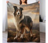 GGJJTT Border Collie Blanket Anti Pilling Throw Blankets Cozy Durable Blankets for Office Couch Cinema Bedroom Decor Bed Blanket 100×130cm