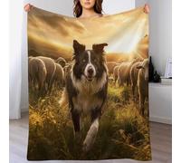 GGJJTT Border Collie Fleece Blanket Travel Nap Throws Plush Blanket Super Soft Flannel Blankets For Couch, Bed, Sofa For All Seasons 130×150cm