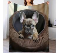 GGJJTT French Bulldog Super Soft Blanket Soft Microfiber Blanket Cosy Fuzzy Travel Blanket Nap Throws for Sofa Couch & Bed Décor 150×200cm