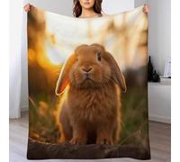 GGJJTT Rabbit Flannel Blankets Throws for Sofa, Bedroom, Couch, Travel, Microfiber Fleece Blankets - Soft, Plush Bed Blanket 130×150cm