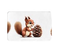 GGNKDL Anti Slip Floor mat Little Squirrel Stealing Pine Cones Printing for Indoor and Outdoor Door mats, Suitable for Bedroom and Bathroom entrances 16x24in