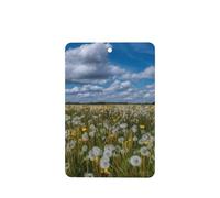 GGNKDL Dandelion on the Prairie prints 6-piece Rectangle car air freshener with hanging type car accessories