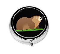 GGNKDL Groundhog on The Lawn Prints Round Mini Pill Box with 3 compartments for Pill Storage and Portable Travel