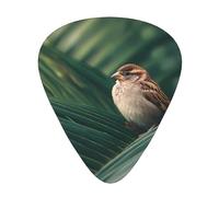 GGNKDL Little sparrow on palm leaves Prints Guitar plectrum 12 pieces with three thickness plectrum combinations suitable for bass and ukulele