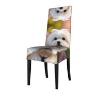 GGNKDL Lovely Maltese Dog Prints Restaurant Chair Covers are Detachable, Super Elastic, and Washable, Suitable for Kitchens