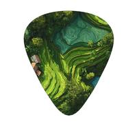 GGNKDL Lush green rice Prints Guitar plectrum 12 pieces with three thickness plectrum combinations suitable for bass and ukulele