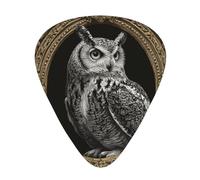 GGNKDL Owl in a frame Prints Guitar plectrum 12 pieces with three thickness plectrum combinations suitable for bass and ukulele