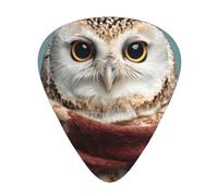 GGNKDL Owl wearing a scarf Prints Guitar plectrum 12 pieces with three thickness plectrum combinations suitable for bass and ukulele
