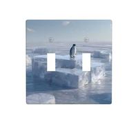 GGNKDL Penguin on the ice cube of love printing Switch cover decorative wall panel suitable for residential and commercial areas 4.5x4.5 In