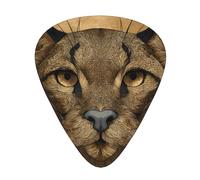 GGNKDL Pretty cat head Prints Guitar plectrum 12 pieces with three thickness plectrum combinations suitable for bass and ukulele