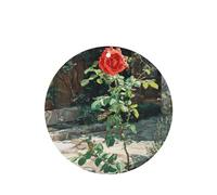 GGNKDL Roses in the Courtyard prints 6-piece Round Shape car air freshener with hanging type car accessories