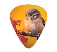 GGNKDL Tiny Owl Prints Guitar plectrum 12 pieces with three thickness plectrum combinations suitable for bass and ukulele