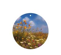 GGNKDL Wildflowers on the prairie prints 6-piece Round Shape car air freshener with hanging type car accessories
