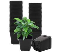 GGOUPTY Plastic Square Plant Pots 7cm 50 Pcs Succulent Planter Nursery Pots for Flower Staring Seedling