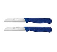 GGS Solingen Knife, Blue Set of 2 Vegetable Knife Set, Fruit Knife, Tomato Knife, Steak Knives, Serrated, Dishwasher Safe, German Stainless Steel, Chef Kitchen Knife Set (Blue Set of 2)