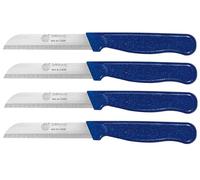 GGS Solingen Stainless Steel Knife Set - 4 Piece Serrated Vegetable, Tomato & Steak Knives, Dishwasher Safe (Blue)