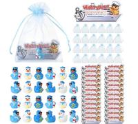 GGSTDDUP 24 Set Sailor Cruise Mini Resin Ducks, Tiny Cruise Ducks for Hiding, Appreciation Card with Organza Bag, Miniature Sailor Cruise Figurines for Cruise Ship, Nautical Cruise Party Favors Decor