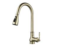 GGYTMQL Bronze Kitchen Faucet with Pull Out Sprayer and Cold Tropical Mixer Antique Brass Sink Crane Faucet EL9021