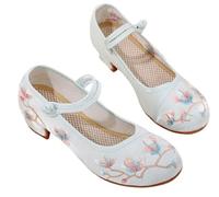 GHAKKE Chinese Embroidery Canvas Shoes For Women Casual Breathable Comfortable Round Toe Ballet Shoes Soft Vintage Traditional Style Mary Jane Yoga Walk Show Shoes (Color : Light blue, Size : 6.5 UK)