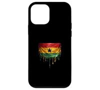 Ghana Flag Case for iPhone 12 mini