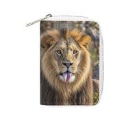GHBNK Credit Card Holder Lion Sticks Out Tongue Credit Card Wallets for Women Business Card Organizer Card Holder Wallet Small Coin Purse Soft PU Card Case Holder with Zipper, style, 16x11.5cm