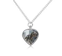 GHBNK Cremation Necklace for Ashes A Mechanical Dinosaur in A Ruined City Pet Urn Necklace 27.6" Adjustable Chain Memorial Dog Cat Jewelry Keepsake with Filling Kit Sympathy Gift