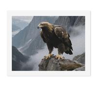 GHBNK Eagle Standing on A Rock Paint by Numbers Kit for Adults Beginner 30x40cm DIY Adult Paint by Number Kits on Canvas Watercolor Oil Number Painting for Adults, Perfect for Home Decor Gift