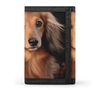 GHBNK Long Haired Dachshund Small Wallet Trifold Wallets Purse with 1 Cash Compartment And 8 Card Slots Money Clip