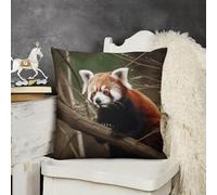 GHBNK Throw Pillow Covers Red Panda on Tree Branch Pillow Case Decorative Pillows Square Cushion Covers Soft Cushion Case Farmhouse Home Decor for Sofa Living Room Couch Bed 26 "x26