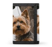 GHBNK Yorkshire Terrier by Gothic Church Small Wallet Trifold Wallets Purse with 1 Cash Compartment And 8 Card Slots Money Clip