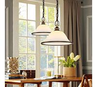 GHBSDNEPP Creative Retro Simple Restaurant Chandelier Single Head Bar Dining Room Lamp Adjustable Lamp 0.35M/40 * 25Cm