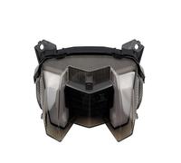 GHDIYRTUO Motorcycle Tail Light Motorcycle LED Rear Tail Light Brake Turn Signals Integrated For MT-09 FZ-09 FZ09 MT09 2017 2018 2019 2020 MS-220401