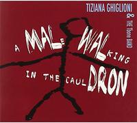 Ghiglioni Tiziana - A Male Walking in the Cauldron
