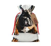 Ghjkfbf French Bulldog Print Christmas Drawstring Gift Bags Xmas Gift Bags W/Tags Sacks Reusable Gift Wrapping Bags